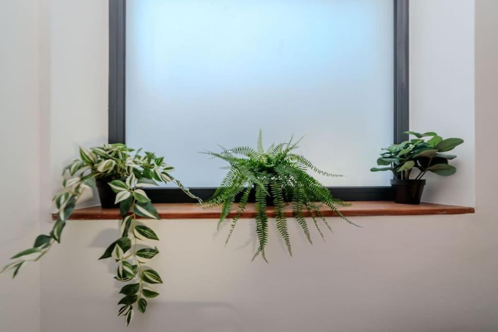 Et Volcans - Maison 9 Couchages Avec Garage Et Exterieur *